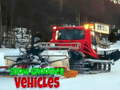 Mchezo Snow Groomer Vehicles