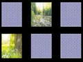 Mchezo Nature Memory