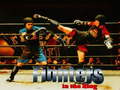 Mchezo Fighters in the Ring