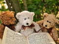 Mchezo Cuddly Three Teddy Jigsaw