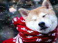 Mchezo Winter Pets Puzzle