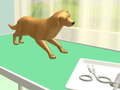 Mchezo Paw Care