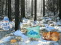 Mchezo Winter Wonderland Forest Adventure