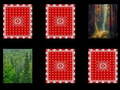 Mchezo Forest memory