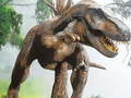 Mchezo Tyrannosaurus Rex Carnivore Jigsaw