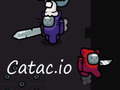 Mchezo Catac.io