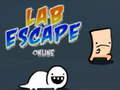 Mchezo Lab Escape Online