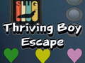 Mchezo Thriving Boy Escape