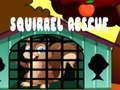 Mchezo Squirrel Rescue