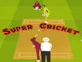 Mchezo Super Cricket 