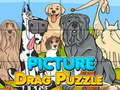 Mchezo Picture Drag Puzzle