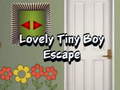 Mchezo Lovely Tiny Boy Escape
