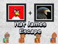 Mchezo Hat James Escape