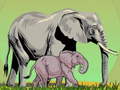 Mchezo Wild Animals and Their Babies