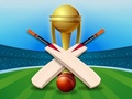 Mchezo Cricket Champions Cup