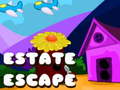 Mchezo Estate Escape