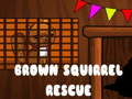 Mchezo Brown Squirrel Rescue