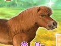 Mchezo My Dear Pony