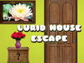 Mchezo Lurid House Escape