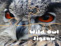 Mchezo Wild owl Jigsaw