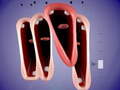 Mchezo Funny Chorus