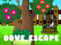 Mchezo Dove Escape