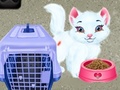 Mchezo Baby Taylor Pet Care