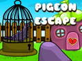 Mchezo Pigeon Escape