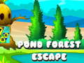 Mchezo Pond Forest Escape