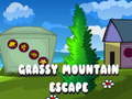 Mchezo Grassy Mountain Escape