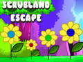 Mchezo Scrubland Escape