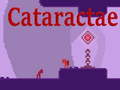 Mchezo Cataractae