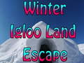Mchezo Winter Igloo Land Escape 