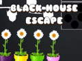 Mchezo Black House Escape
