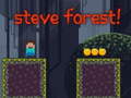 Mchezo Steve Forest