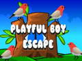 Mchezo Playful Boy Escape