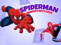 Mchezo Spiderman Memory Matching
