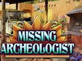 Mchezo Missing Archeologist