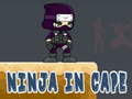 Mchezo Ninja in Cape