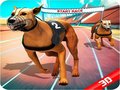 Mchezo Crazy Dog Race