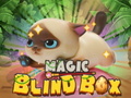 Mchezo Magic Blind Box