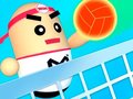 Mchezo 3D Amazing VolleyBall