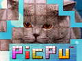 Mchezo PicPu Cat 