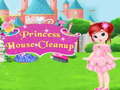 Mchezo Princess House Cleanup