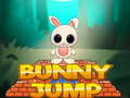 Mchezo Bunny Jump