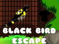 Mchezo Black Bird Escape