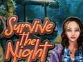 Mchezo Survive the Night