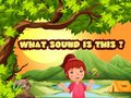 Mchezo What Sound Is This?