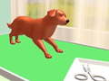 Mchezo Pet Care