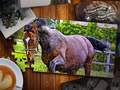 Mchezo Jigsaw Puzzle Horses Edition